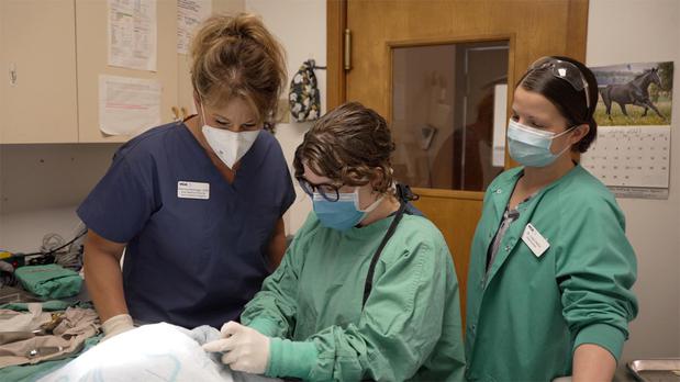 Images VCA Montgomery Road Animal Hospital