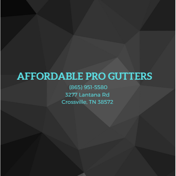 Affordable Pro Gutters Logo