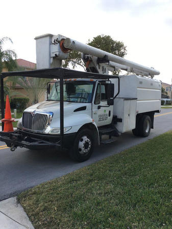 Images Affordable Tree Service Inc. - Tree Service Miami