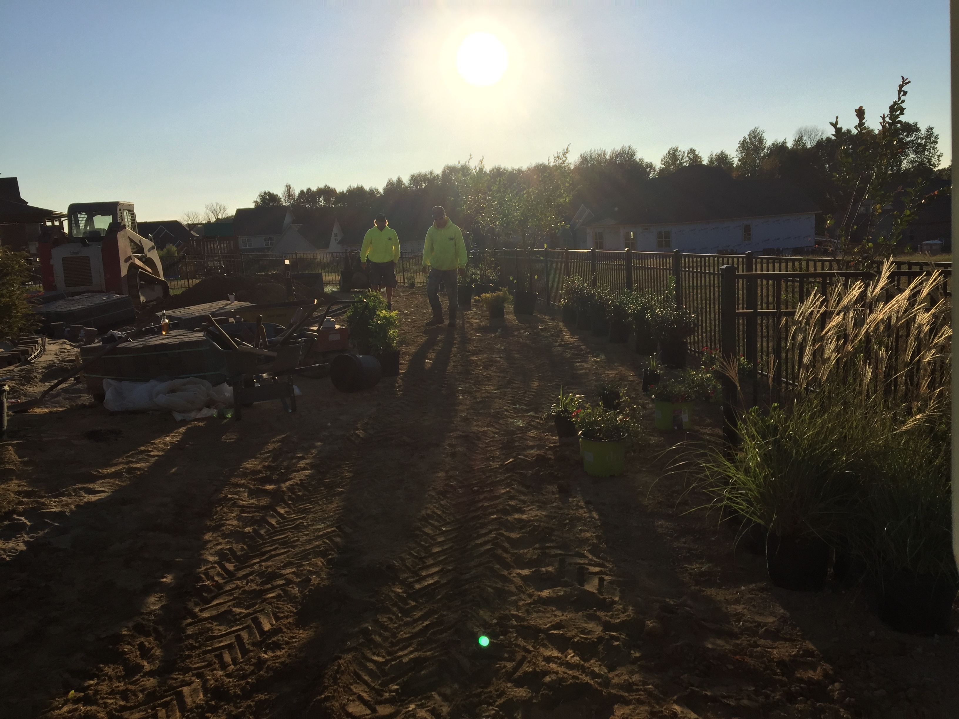 Affordable Lawn Care Image