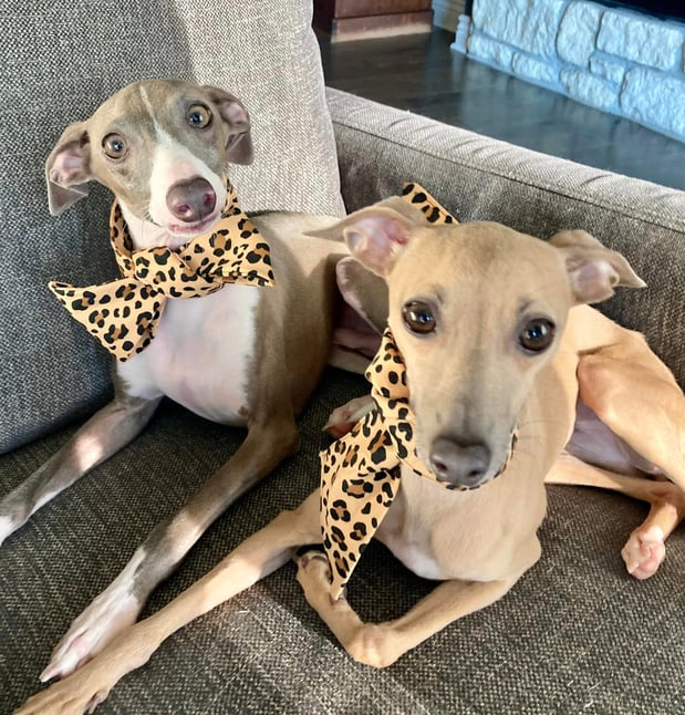 Images Valerie Bean - State Farm Insurance Agent