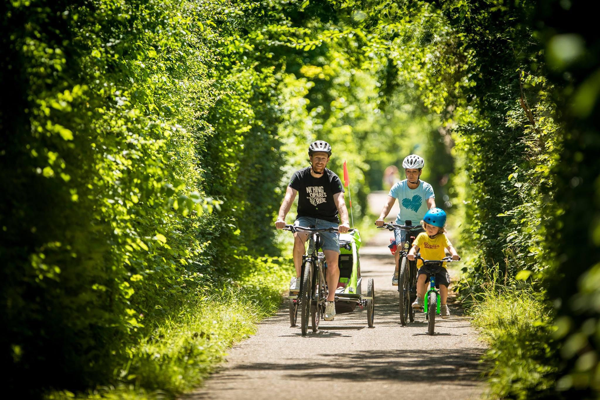 Velo Legi GmbH, Bahnhofstrasse 47 in Mörschwil