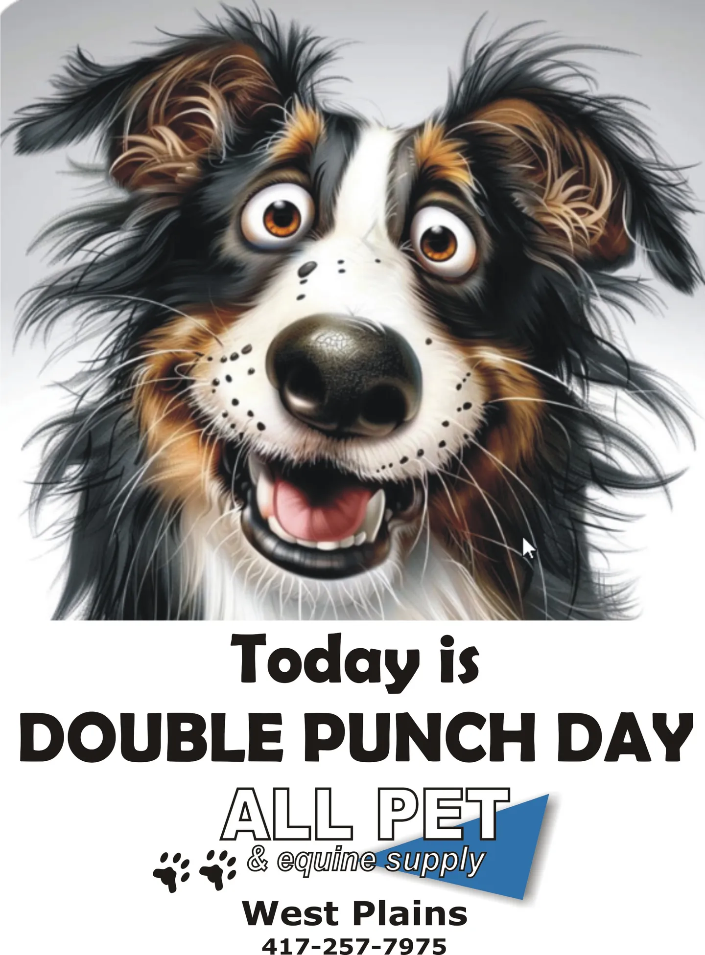 Image of Local Pet Event Feb 2026 DPD Nearby