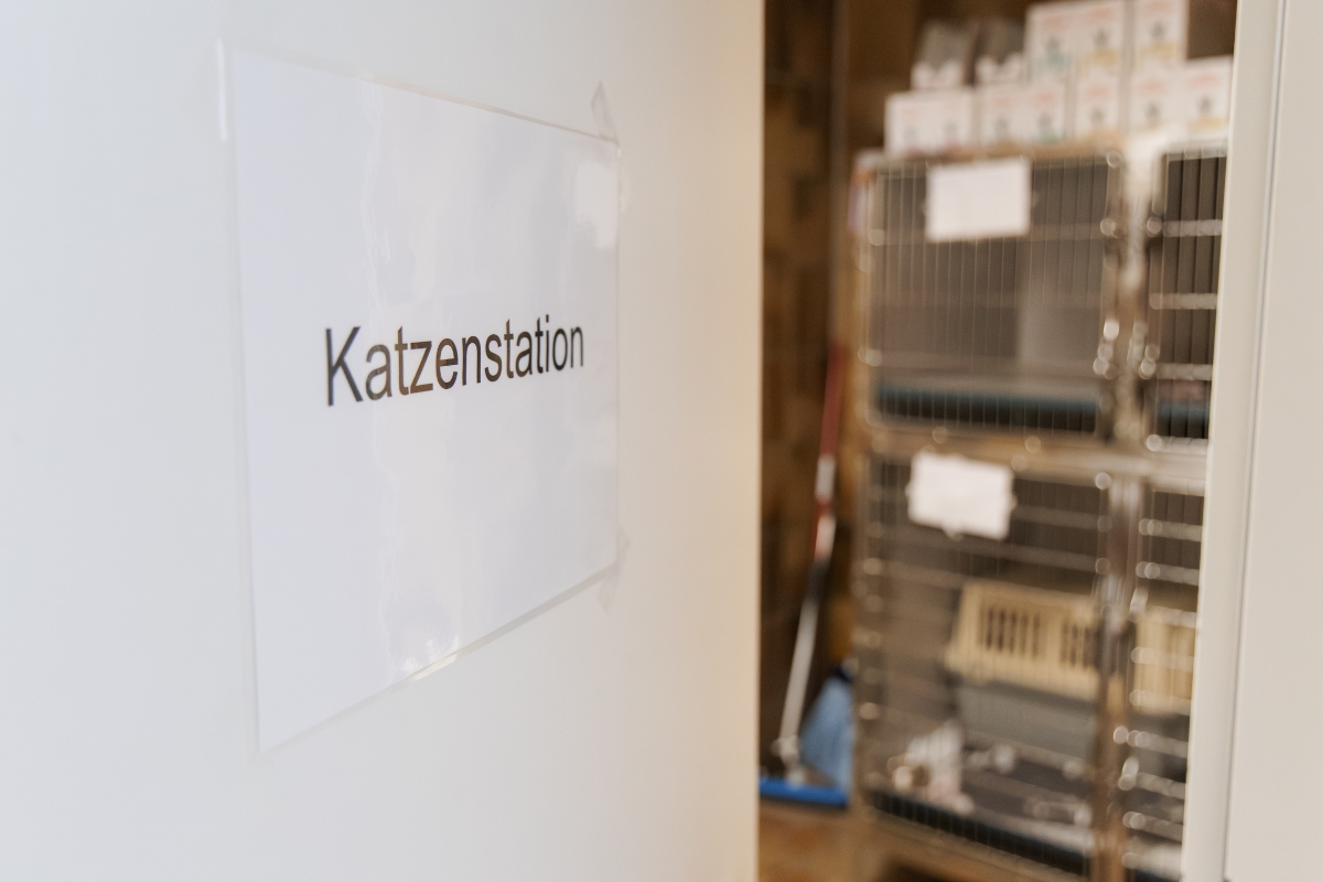 Bild 15 Tierarzt Salzkotten, Tierärztliche Praxis für Kleintiere in Salzkotten