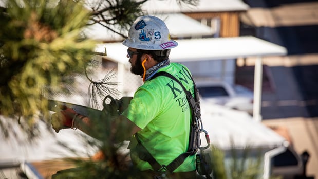 Images King Tree Service