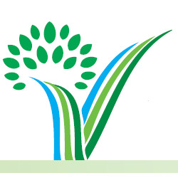 Vera Ecologia Logo