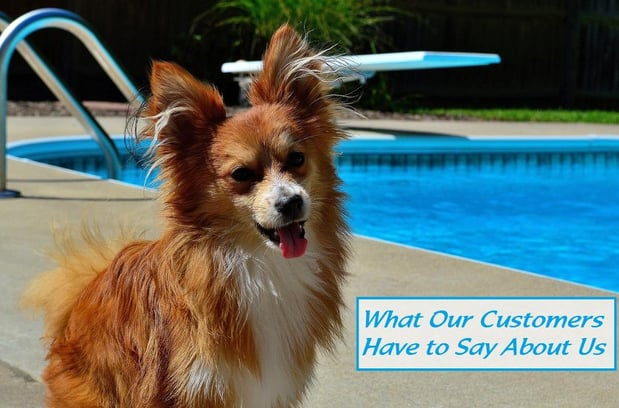 Images Amenity Pool Services - Jacksonville