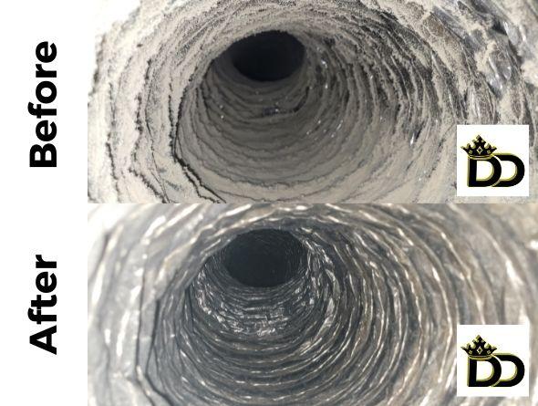 Images Dynasty Ducts