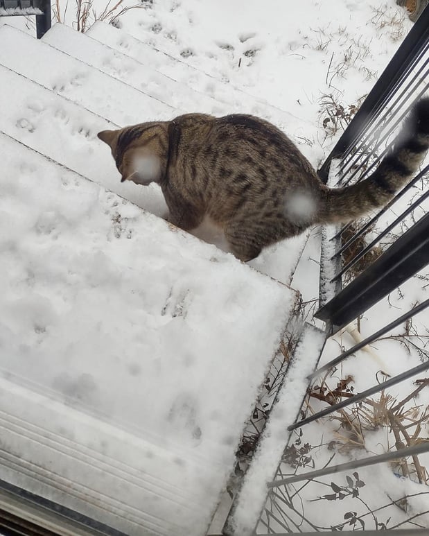 Images Matthew Maniscalco - State Farm Insurance Agent