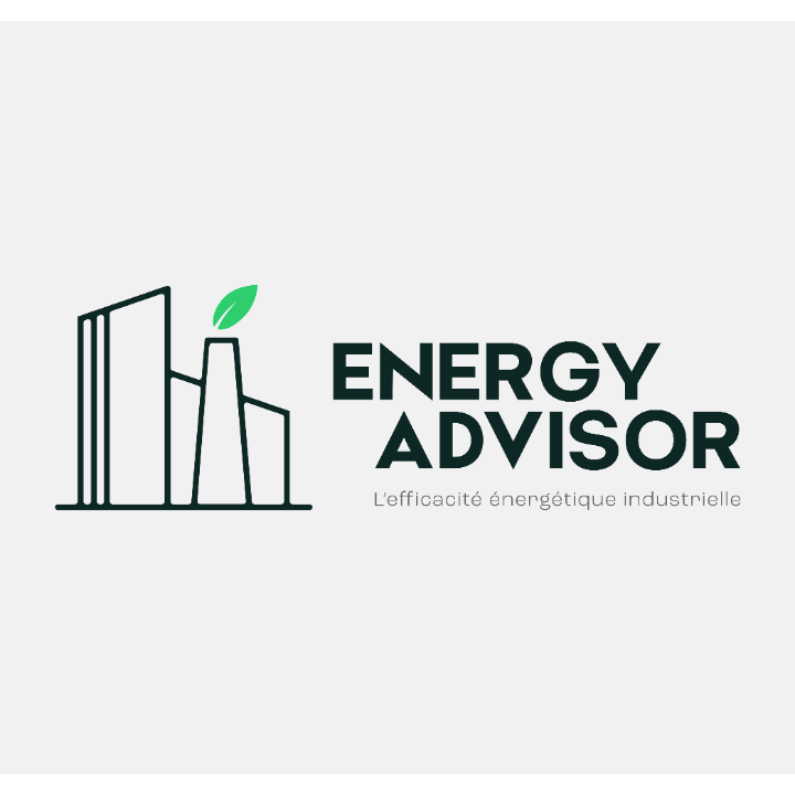 energy advisor