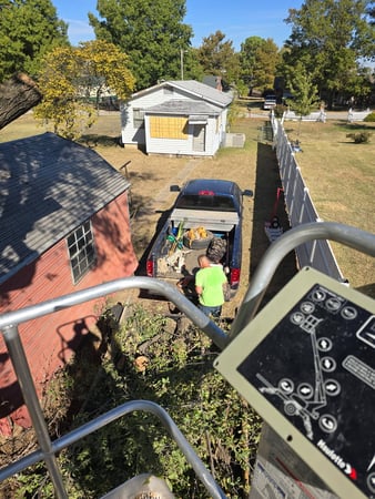 Images Busy Boy Tree Services