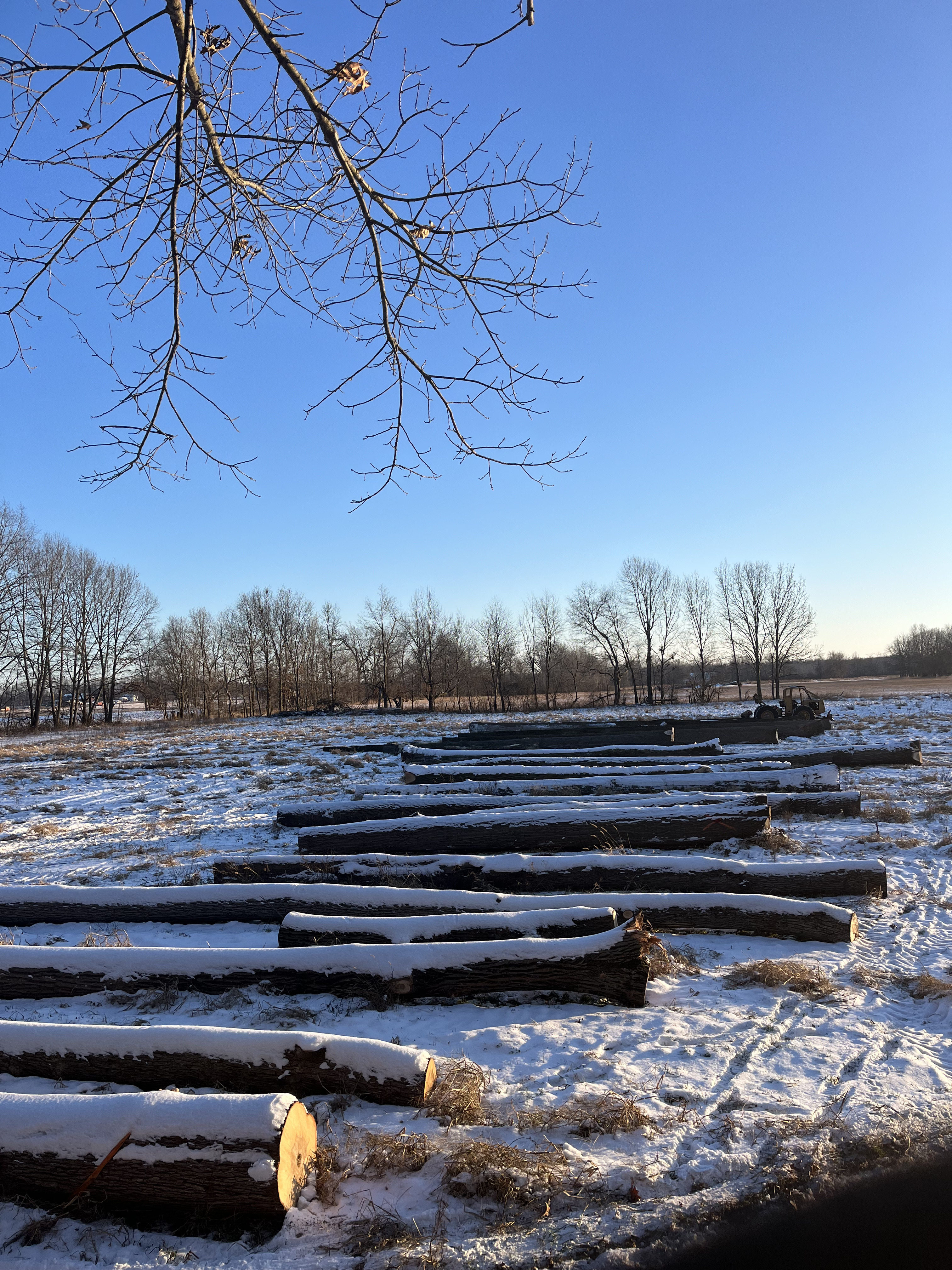 Woodman's Tree Service Image