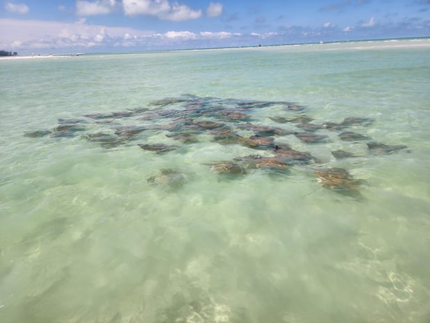 Images Island Boat Tours & Adventures