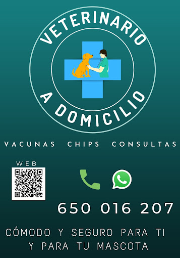 Images Veterinario A Domicilio