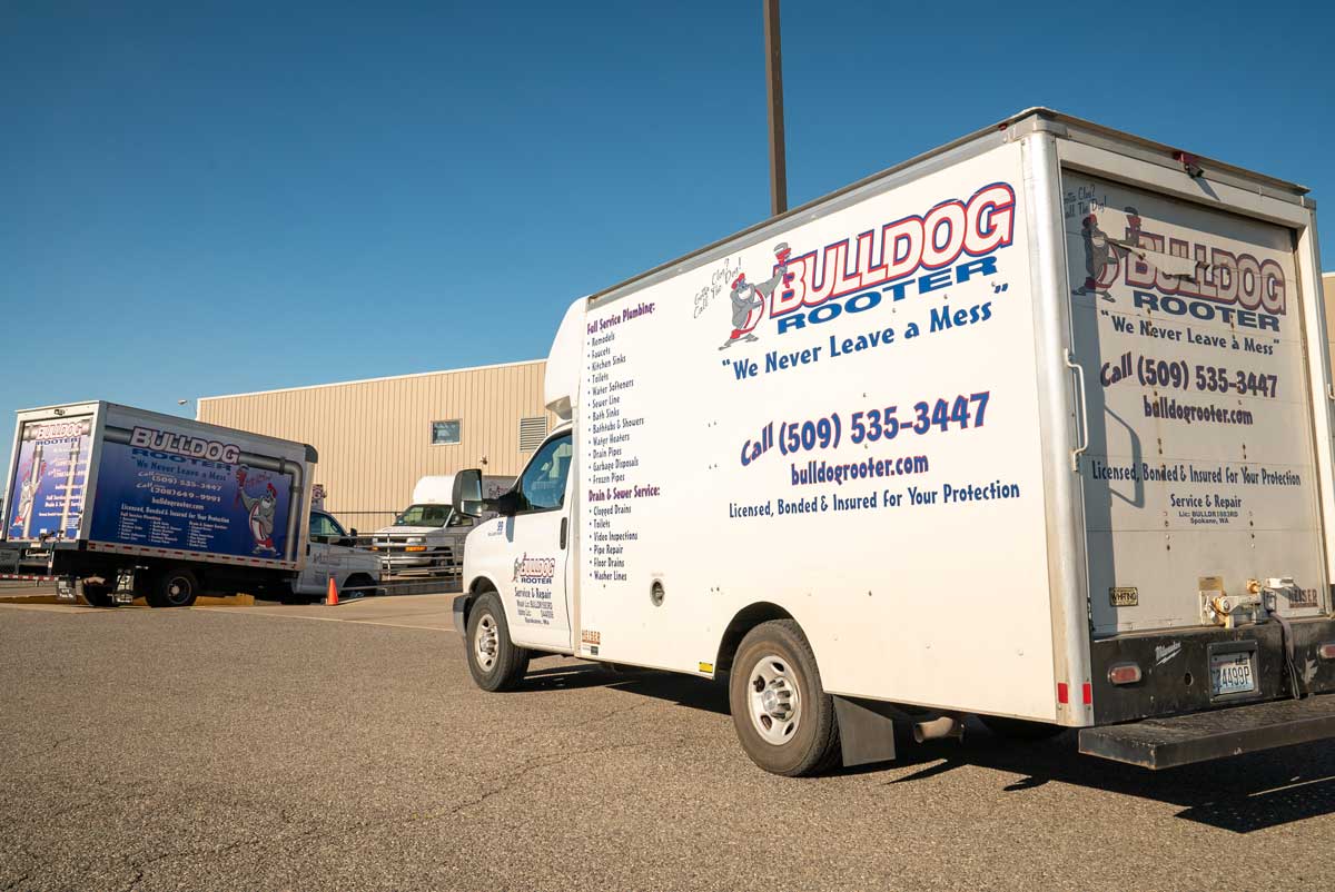 Bulldog Rooter Image