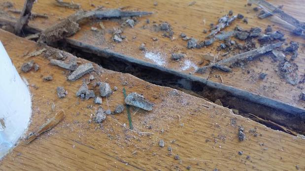 Images Arizona Termite, Pest and Weed  Lic #9297