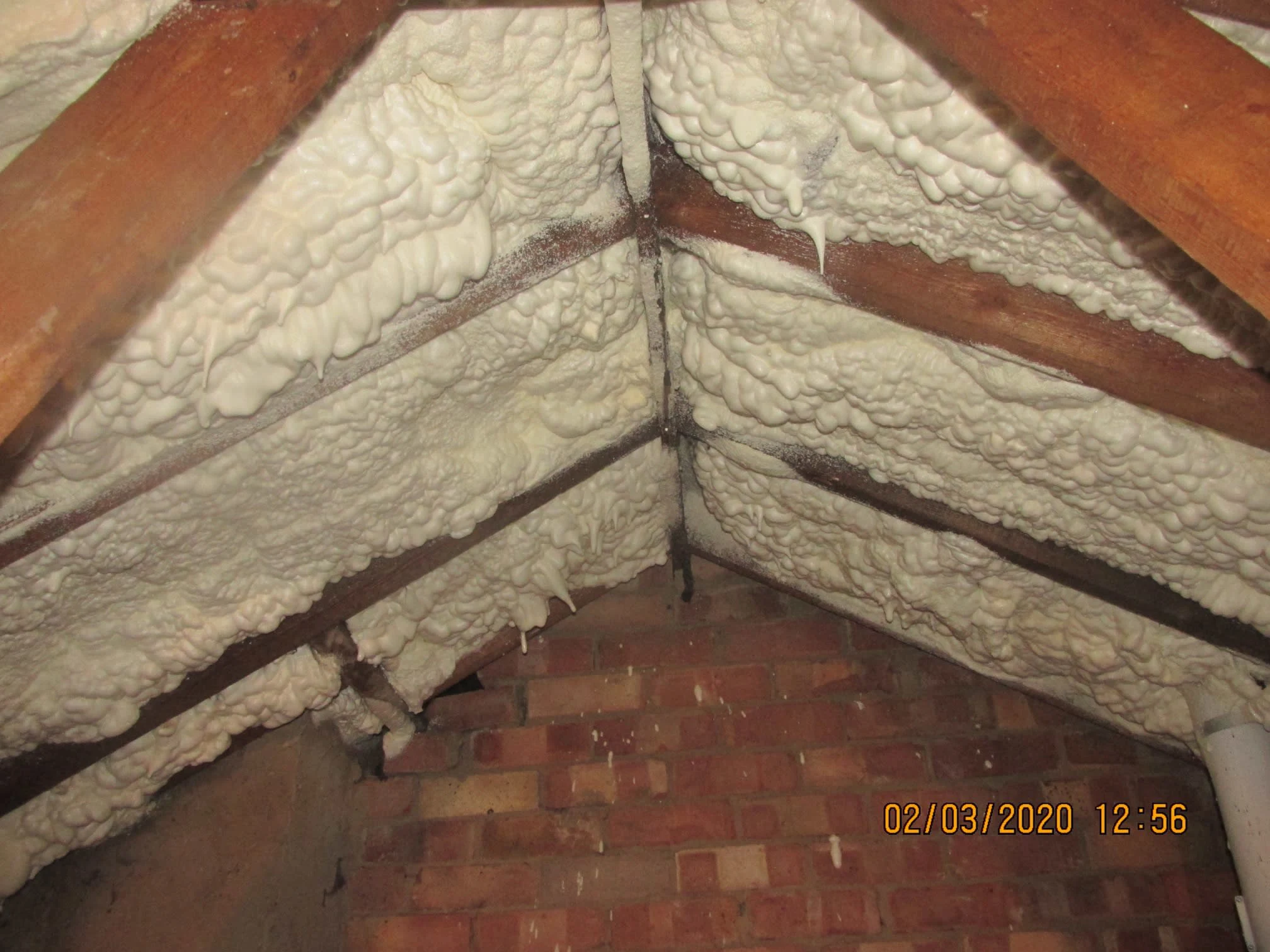 Images Damp Detectives