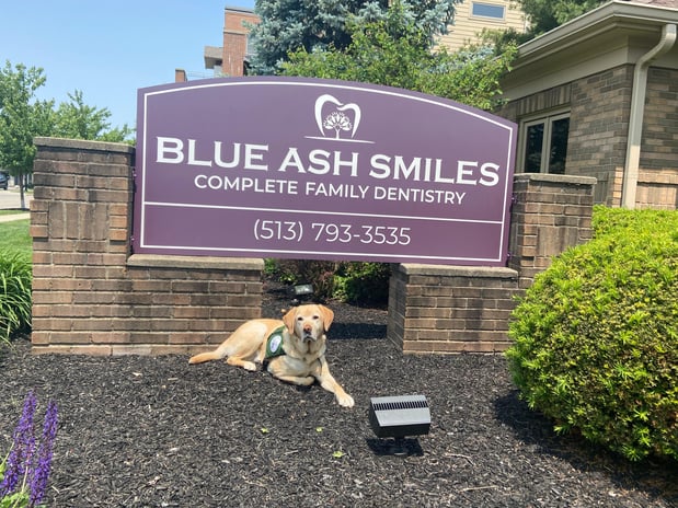 Images Blue Ash Smiles