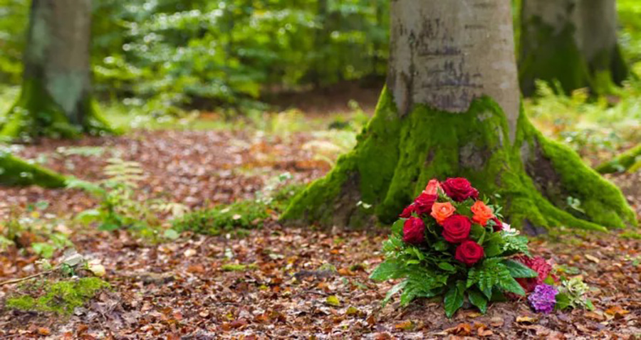 Bestattungen Imhoff, Hauptstraße 14 in Poing