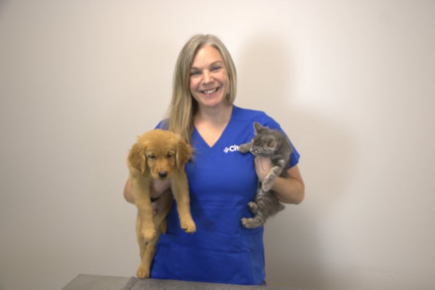 Images CityVet | Rockwall