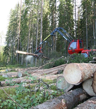 Images Kinnaskoski Oy