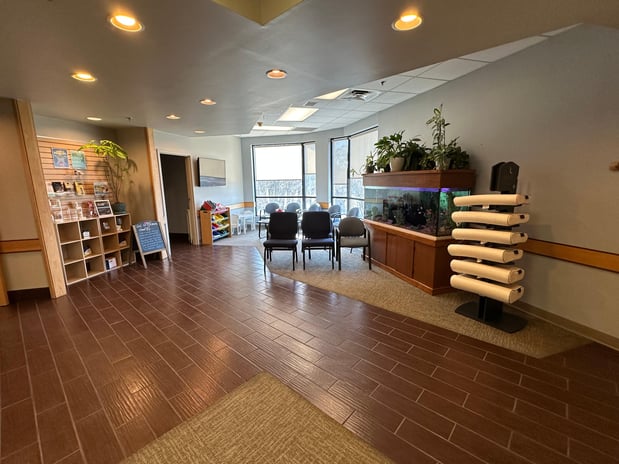 Images Pure Wellness Chiropractic