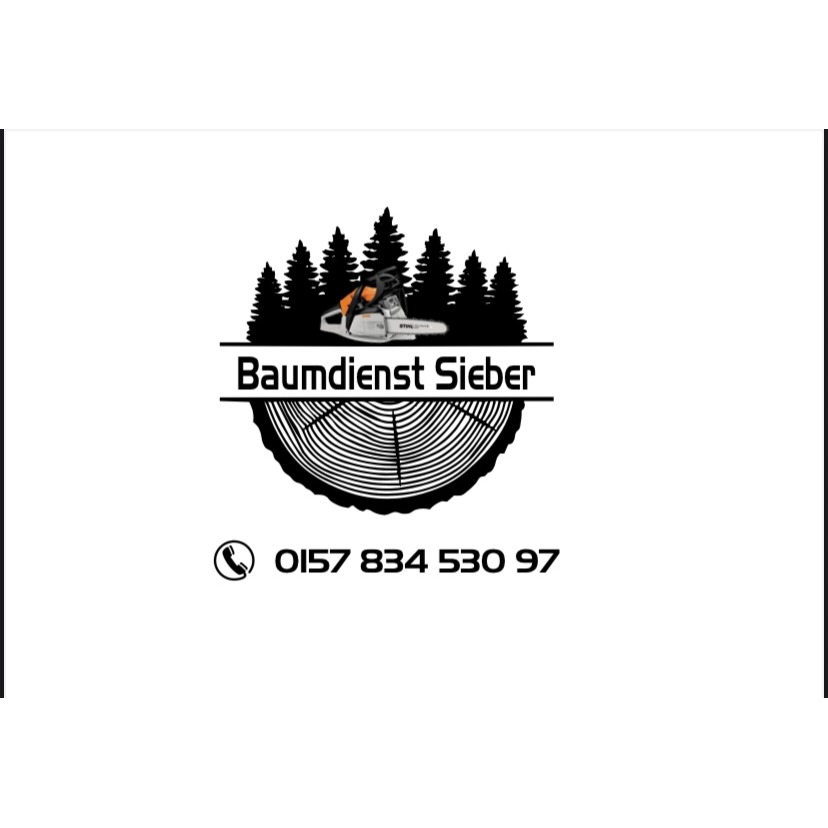 Logo von Baumdienst Sieber