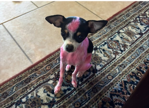 Images Franklin and Kiai Counseling Services, PLLC