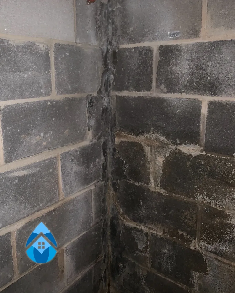 Transparent version of the Leader Waterproofing & Construction logo featuring a blue water droplet and house icon alongside the company name. Used for branding across marketing materials and digital platforms.