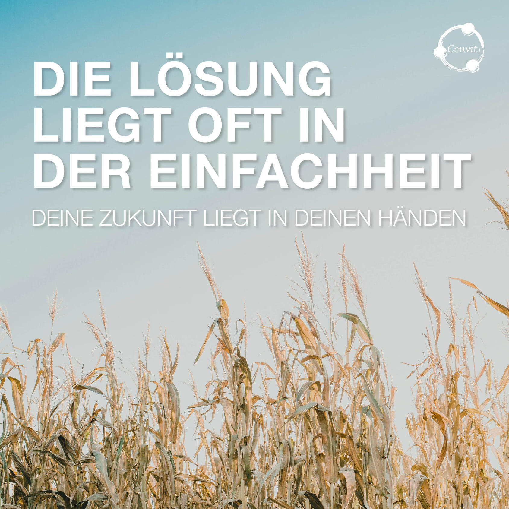 Convit Central GmbH, Bernstrasse 24 in Rothrist