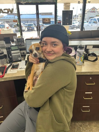 Images VCA All Pet Animal Hospital/Taylorsville