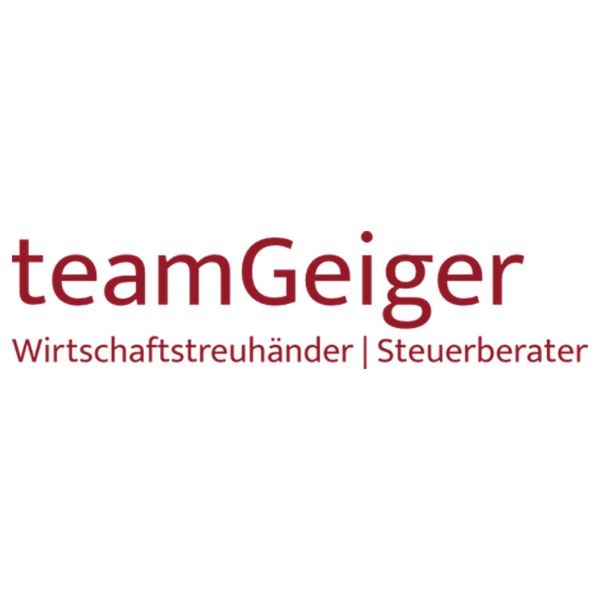 Logo von TEAM GEIGER MMag. Martin Geiger