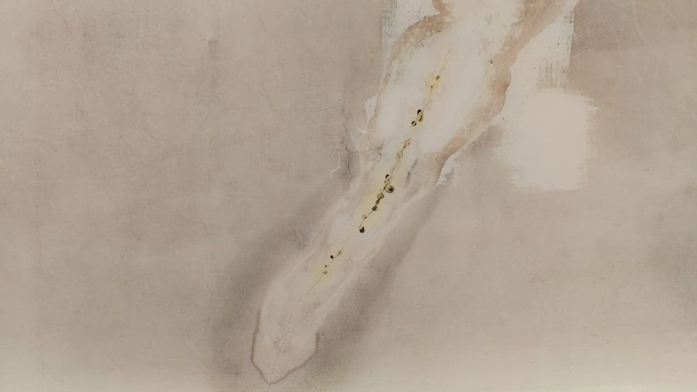 drywall water damage
