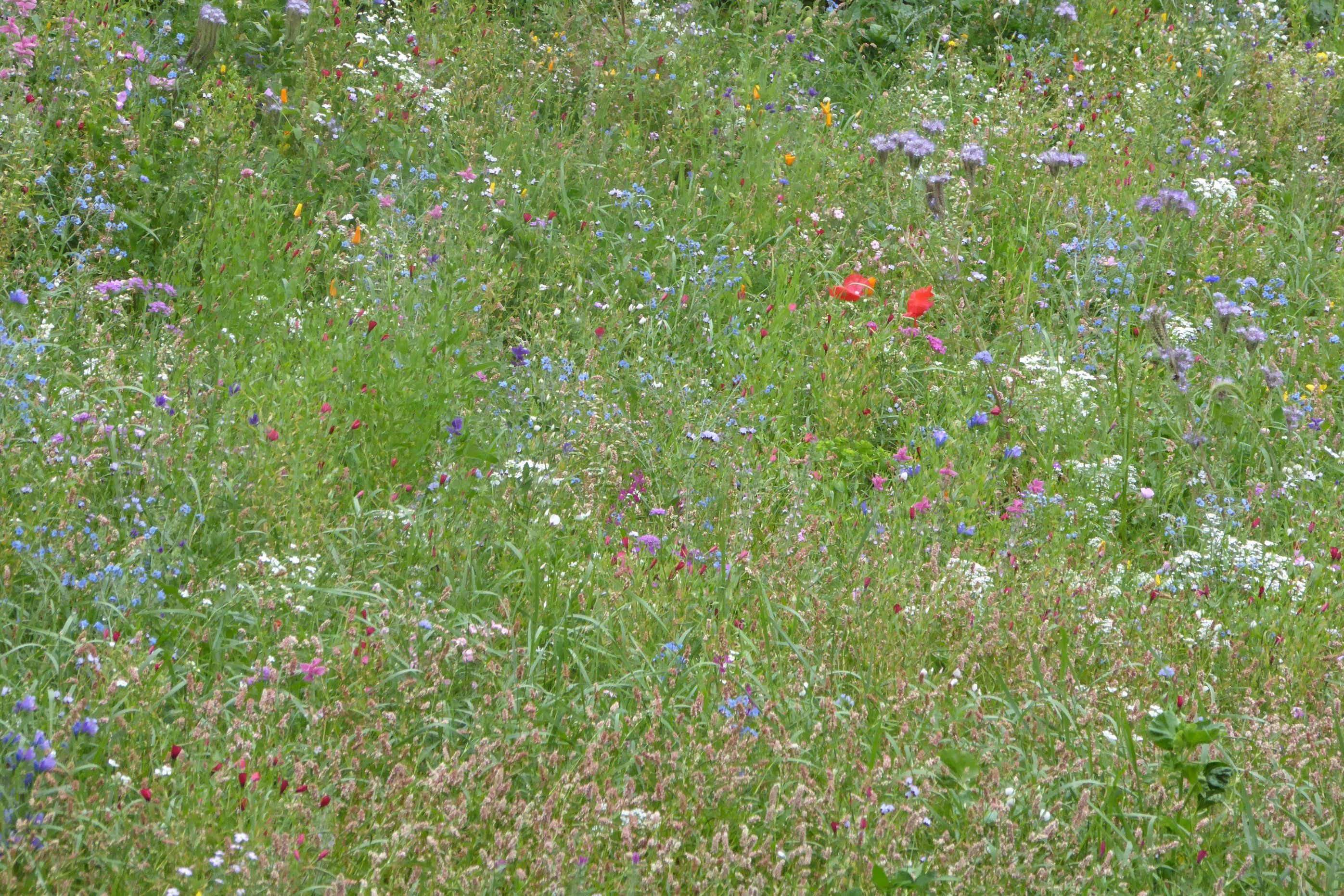 Bilder Vurlod Fils Sàrl