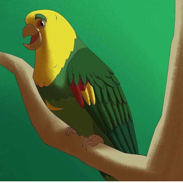 Amazon parrots Store Logo