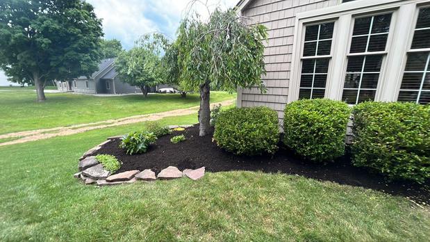 Images Brockman Tree & Lawn Care