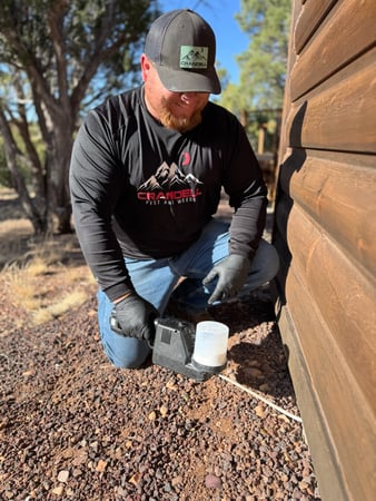 Images Crandell Pest Control