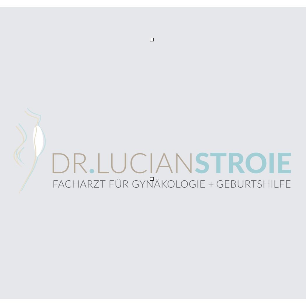 Dr. Lucian Stroie Logo