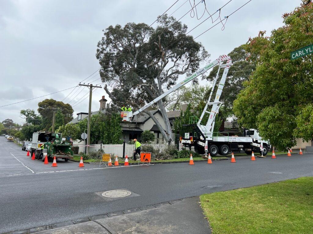 Images Redback Tree Services Greensborough
