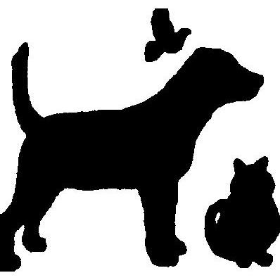 Dove Valley Animal Hospital, Plc