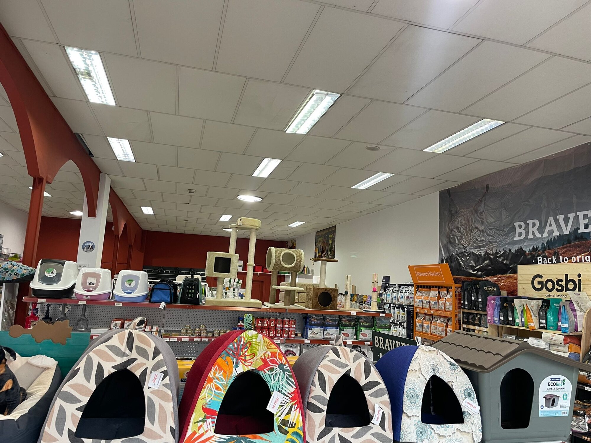 Images Mascotas gourmet