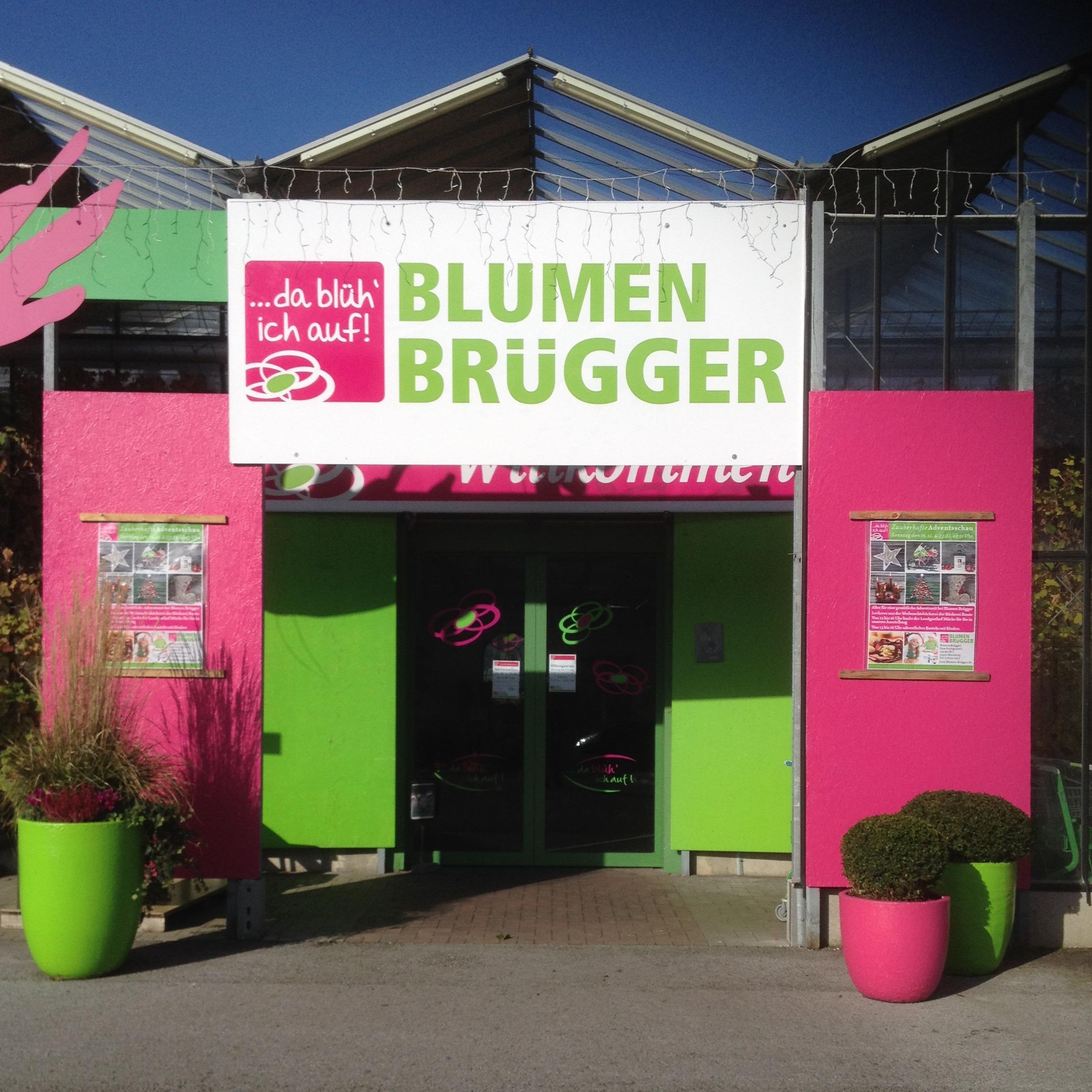 Logo Blumen Brügger