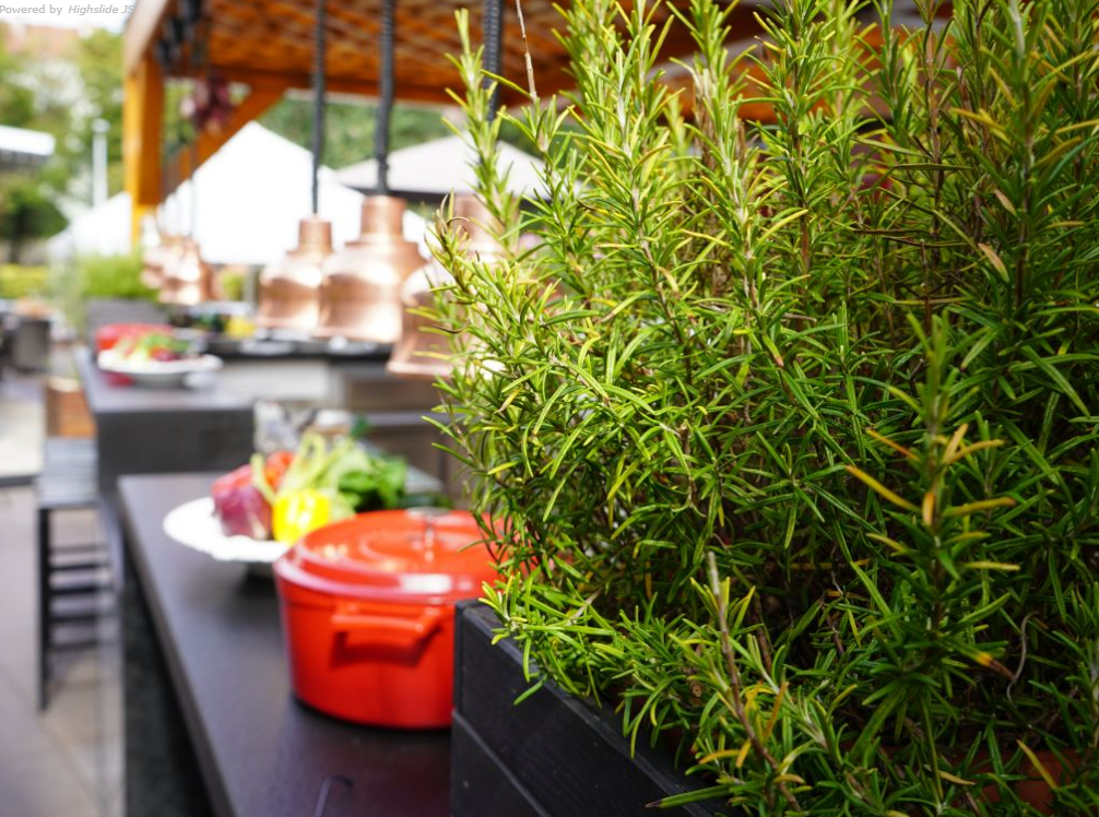 MIMINOO garden restaurant
