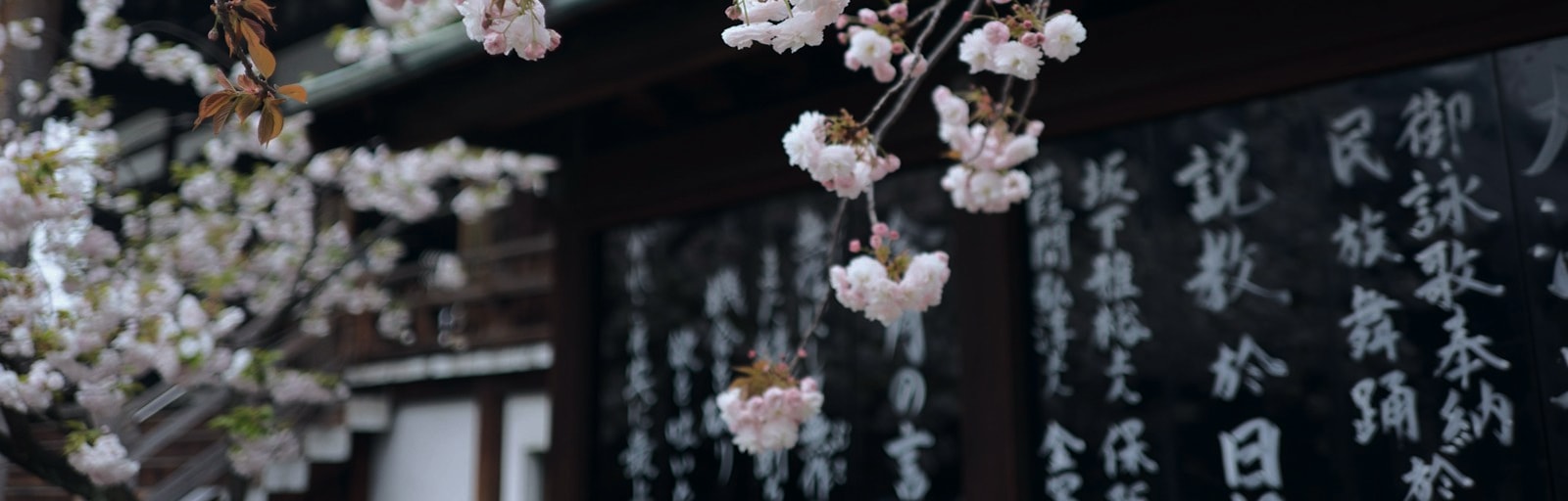 Bilder Shinwazen japanische Produkte & Sake