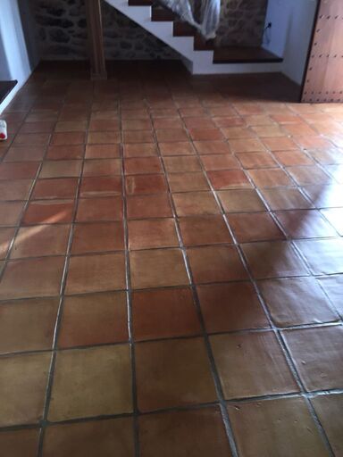 Images Tomás Avilés