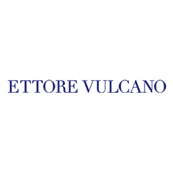 Ettore Vulcano, MD Logo