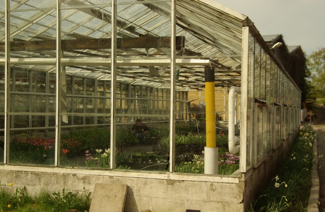 Images Mariebergs Trädgård AB