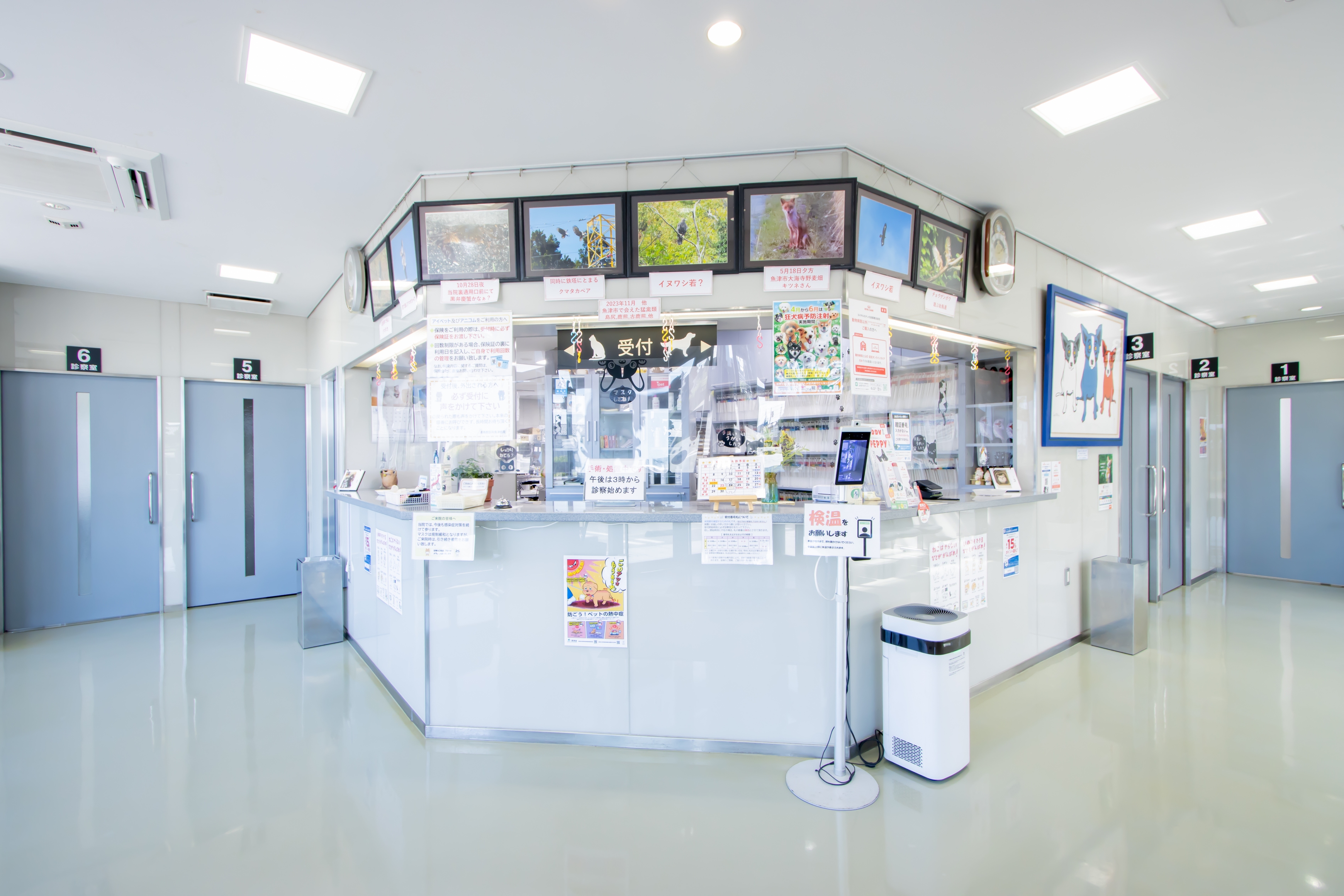 Images 高島獣医科魚津病院