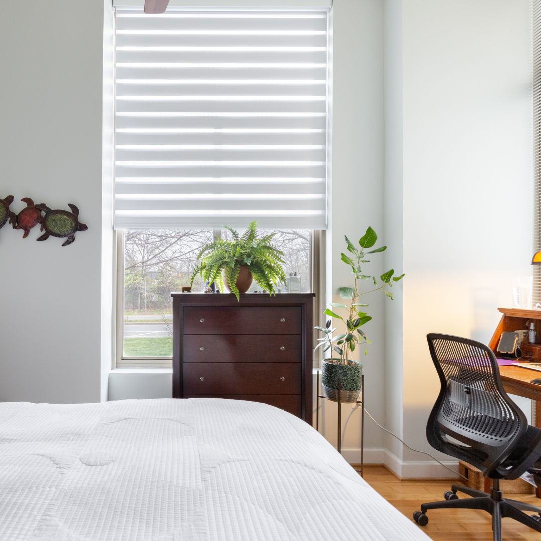 Modern Dual Shades Budget Blinds of Port Perry Blackstock (905)213-2583
