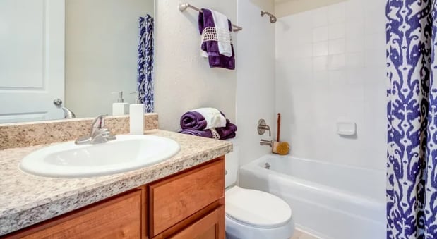 Images The Bristol Apartments